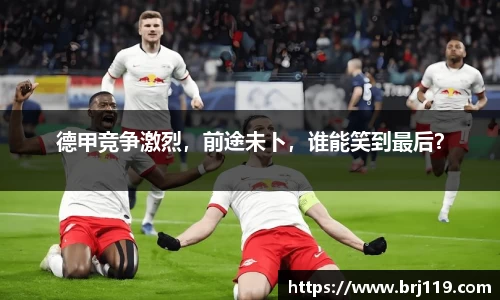 MILE米乐官网