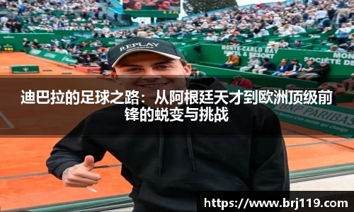 MILE米乐官网